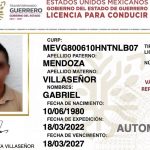 licencia de conducir guerrero