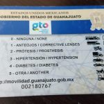 licencia de conducir irapuato