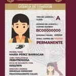 licencia de conducir rosarito