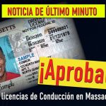 licencia federal