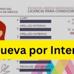 renovación de licencia estado de méxico