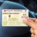 renovar licencia de conducir hidalgo