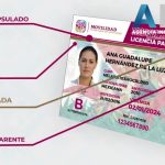 tipos de licencia de conducir oaxaca