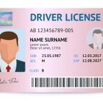 validar licencia de conducir